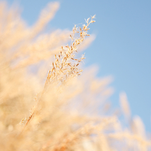 新婚夜真人实战
