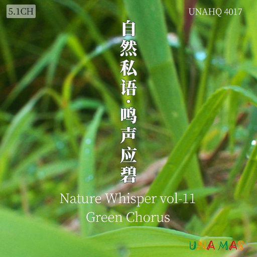 新婚夜真人实战
